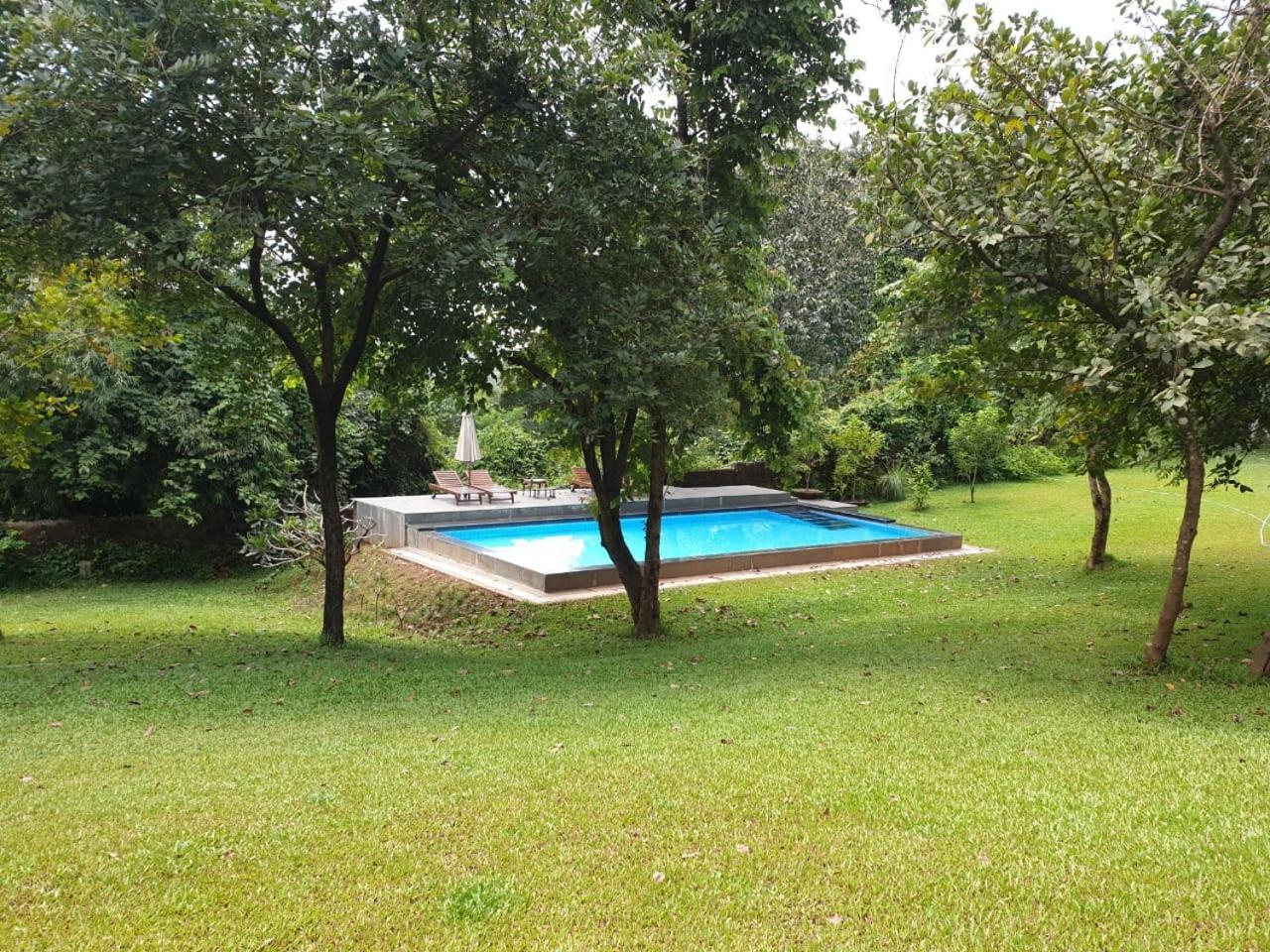 The Postcard Velha, Goa